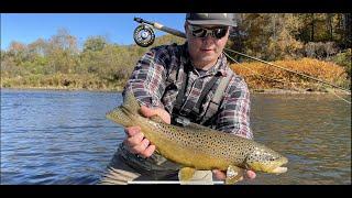 FLY FISHING the DELAWARE RIVER  (chasing BROWN TROUT)