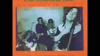 The Flaming Lips Evil Will Prevail