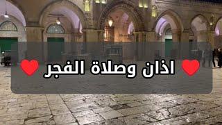 اذان وصلاة الفجر من المسجد الاقصى المبارك للشيخ عمر الكسواني | الخميس 14-11-2024م