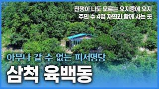 아무나 들어갈 수 없는 오지중에 오지 주민 4명 육백동의 시원한 여름나기!