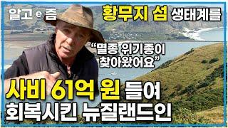 "지난 10년간 노력했어요" 산업화와 무분별한 벌목으로 인해 생태계가 파괴됐던 섬, 뉴질랜드 가족의 희생으로 '이렇게' 변화된 자연│세계의 교육현장│알고e즘