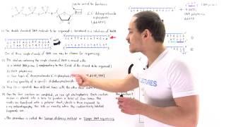 Sanger Sequencing of DNA