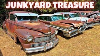 We Found Some UNEXPECTED Items in these DOZENS of Antique Cars!