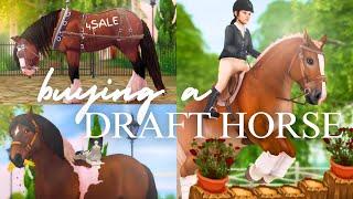 The Draft Of My Dreams!  Looking For A BIG Friend II SSO RRP
