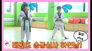 태권도 파란띠 승급심사를 했어요! 과연 나린이와 다린이는 잘했을까요? Family's real lifeㅣ토깽이네상상놀이터RabbitPlay