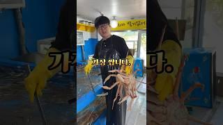 여기가 가장 싸다는뎅 #비치대게 #속초 #속초맛집