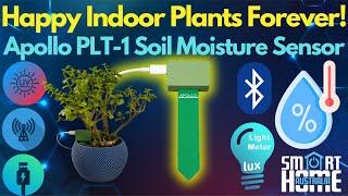 The ULTIMATE Indoor Plant Care Monitor PLT-1 Non Battery