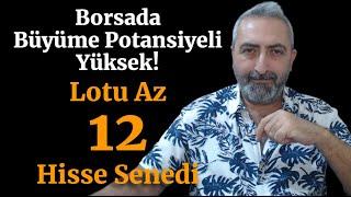 Borsada Büyüme Potansiyeli Olan Lotu Az 12 Şirket