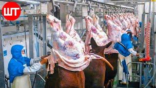 Modern Meat Processing Factory | Million Dollar Cow Processing Technology & Cutting Line