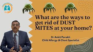 What are the ways to get rid of DUST MITES at your home? Dr Ankit Parakh, Child Allergy Specialist