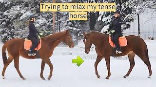 My favorite exercise to relax a tense horse!