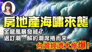 房地產海嘯來襲，金龍風暴發威了！退訂朝、解約潮席捲而來‥台灣經濟大慘爆！【林海陽】_20241211