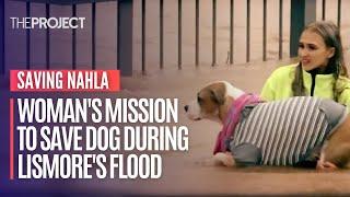 Woman's Mission To Save Dog During Lismore's Flood Summed Up The Tragedy But What Happened Next