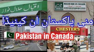 Mini Pakistan in Toronto Canada | Thorncliffe Park Drive | منی پاکستان ان کینیڈا | Pakistani Peoples