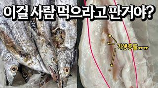 끝까지 우기고 경찰까지 부르는 한국의 수산물 판매 현황, 총체적 난국이네요(입문철TV EP.020)