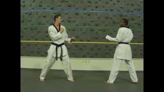 SELF DEFENSE for 2nd Gup testing to Black Stripe