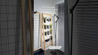 DIY Vertical Garden Using Wall Planters