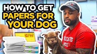 How to get papers for dogs! (For dogs without papers)