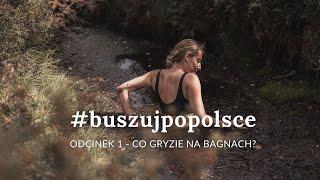 #buszujpopolsce  •  Odcinek 1: Co gryzie na bagnach?