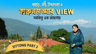 প্রকৃতি যেন রংতুলি দিয়ে সাজিয়েছে Sittong-কে | Tea Garden Homestay | Veritaas Quest | Sangita Debnath