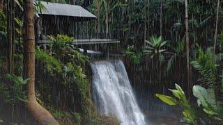 Relaxing Sound of Heavy Rain and Waterfalls in the Forest for Sleep Therapy