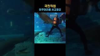 오늘저녁은 매운탕이다 #아쿠아리움 #사고영상