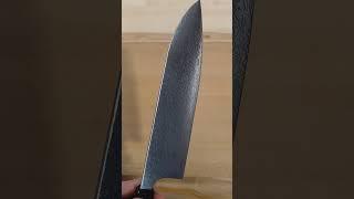 Damascus Chef's Knife with Ebony and Mammoth Molar by Francisco Vaz