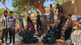 The story of a pleasant gathering and the art of keshk-making in Zahra's nomadic family