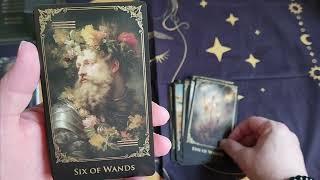 deck flip through: The Baroque Tarot