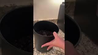 Airscape Coffee Storage Canister
