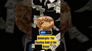 Ambergris: The Floating Gold of the Ocean