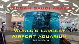 Worlds biggest airport aquarium | Jeddah Airport Aquarium Terminal 1 | Fish tank Jeddah New Airport