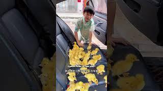 صبي بدور الأم !
