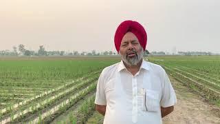 Surjit Singh Sadhugarh | Sadhugarh Farm’s | Modern Farming | Punjab | 2020 |Agriculture Punjab