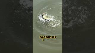 BEST Topwater BAIT For BASS!!  #shorts #fishing