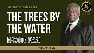 CA229. The Trees by the Water | SAM SOLEYN