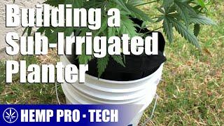 How to Build a Sub-Irrigated Planter to Grow Hemp