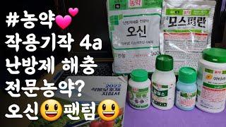 #농약 작용기작4a  난방제해충 전문농약? 오신수화제&팬텀입상수화제 작용특성 및 주의사항