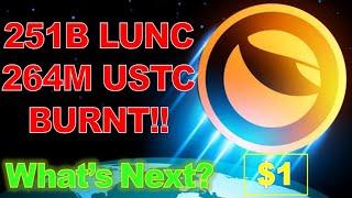 Terra Luna Classic: 251B LUNC, 264M USTC Burnt, What will happens next? (LUNC Price Prediction 2024)