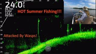 Summer Crappie Fishing on Lake Darbonne!  Full-Screen LiveScope Footage!!!  Trip #20