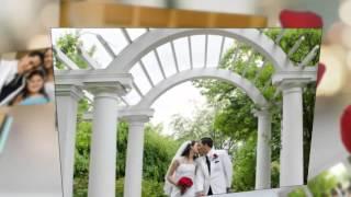 Wedding at the Davis Johnson Park & Gardens -  Serpentine Ro