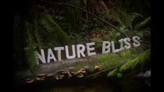 Nature Bliss Inc. intro   ~ art, music and happiness ~