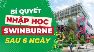 Bí Quyết Nhập Học Swinburne Việt Nam Sau 6 Ngày?