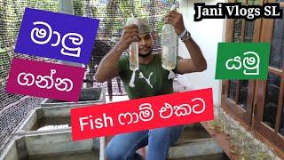 මාලු ගන්න ෆිෂ් ෆාම් එකට යමු - Malu Ganna Fish Farm Ekata Yamu - Jani Vlogs SL