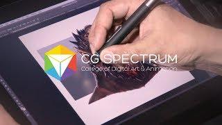 CG Spectrum - How It Works