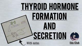 Formation and secretion of Thyroglobulin and Thyroid Hormones