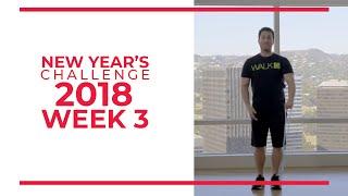 New Year's Walk Challenge 2018 Week 3