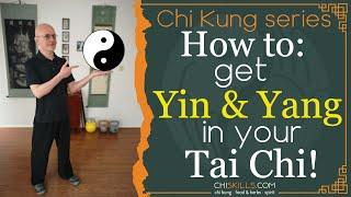 TAI CHI: YIN & YANG physically explained!