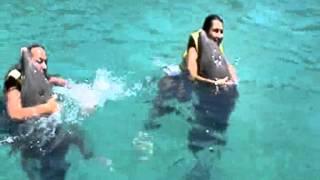 Swimming with dolphins - Ocean World, Dominican Republic