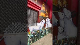 Vrindavan ki Kunj, Gali Radhe Radhe #radheradhe #krishna #vrindavan #mathura #radheshyam